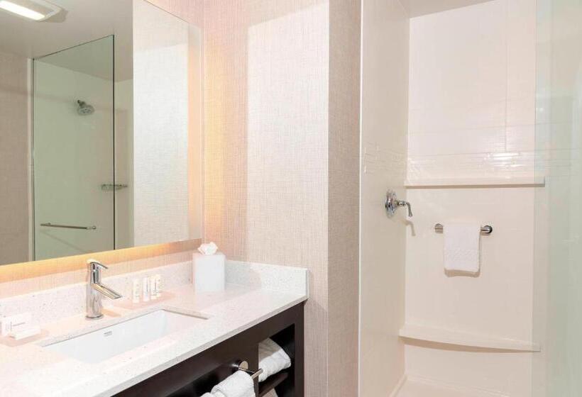 キングサイドベッドのスタンダードワンルーム, Residence Inn By Marriott Lafayette