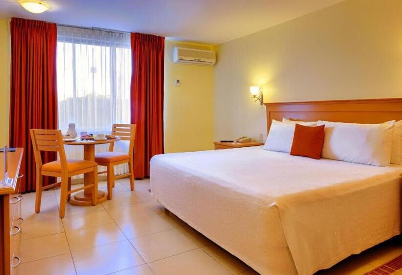 キングサイズベッドのスタンダードルーム, Araiza Palmira Hotel Y Centro De Convenciones