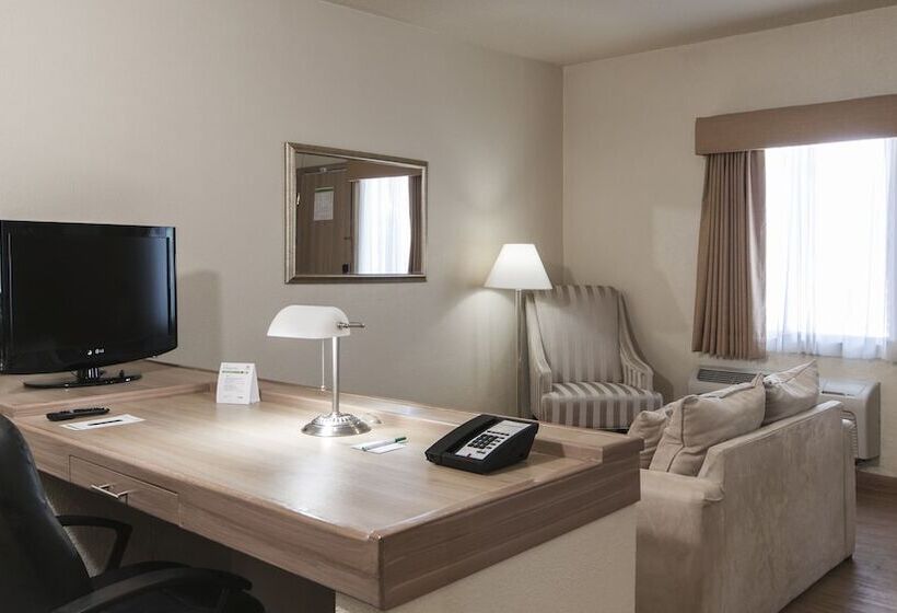 اتاق استاندارد, Holiday Inn Hotel & Suites Chihuahua, An Ihg