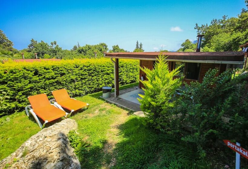 1 Bedroom Superior Villa, Cirali Villa Zeytin