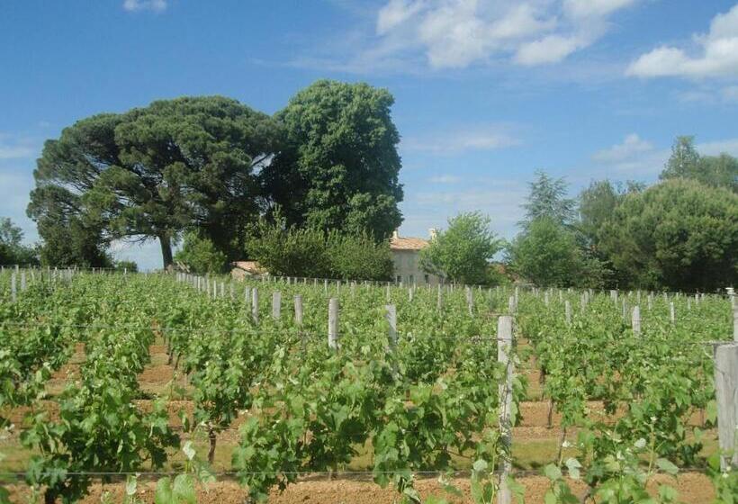 Студио Стандарт Вид на Сад, Domaine Mongiron