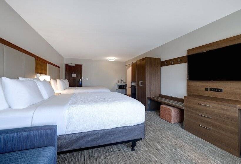Люкс, Holiday Inn Express & Suites   Brighton, An Ihg