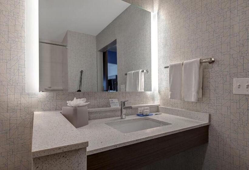 Номер Стандарт, Holiday Inn Express & Suites   Brighton, An Ihg