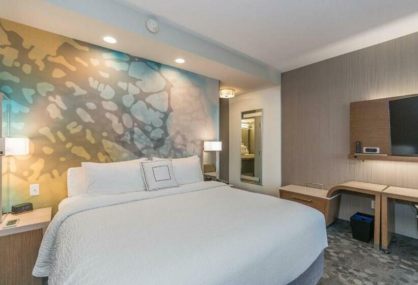Стандартный Номер Кровать Кинг, Courtyard By Marriott West Springfield