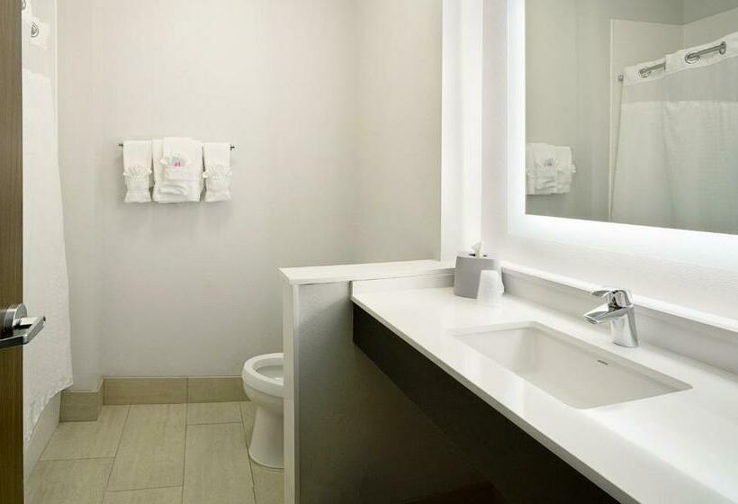 Люкс, Holiday Inn Express & Suites   Wentzville St Louis West, An Ihg