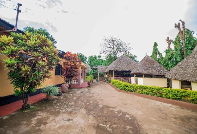 豪华房间, The Better Inn