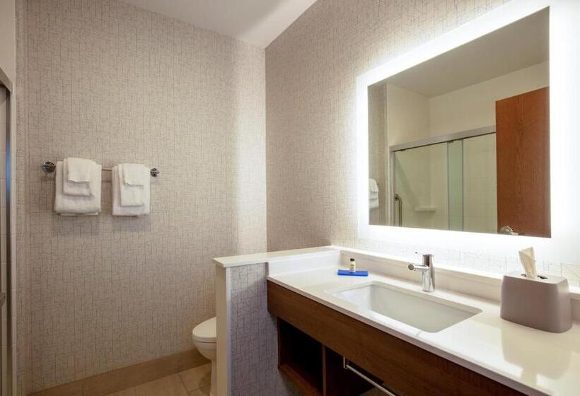 Стандартный Номер Кровать Кинг, Holiday Inn Express & Suites   Beloit, An Ihg