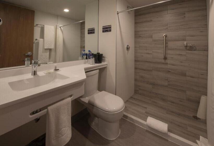 ２ダブルベッドのスタンダードルーム, Microtel Inn & Suites By Wyndham Irapuato