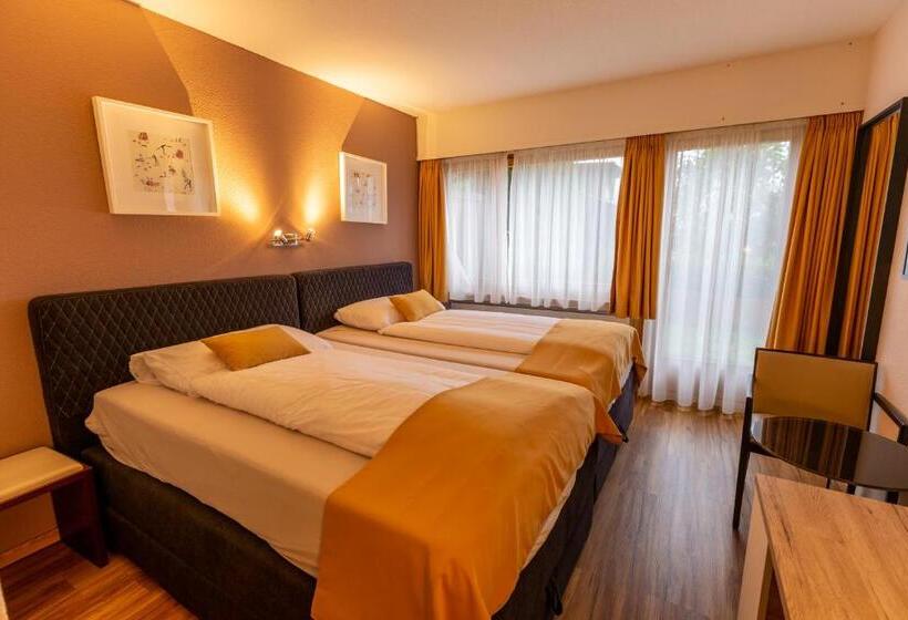 Pokój Standard z Widokiem, Chalet Hotel Beau Site