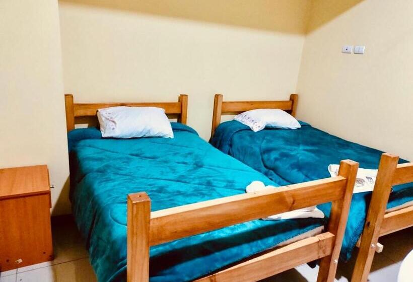 اتاق اکونومی, Blu Bascuñan