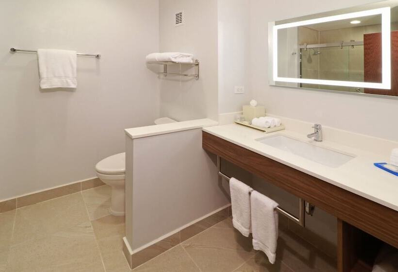 スイート, Holiday Inn Express & Suites   Ensenada Centro, An Ihg