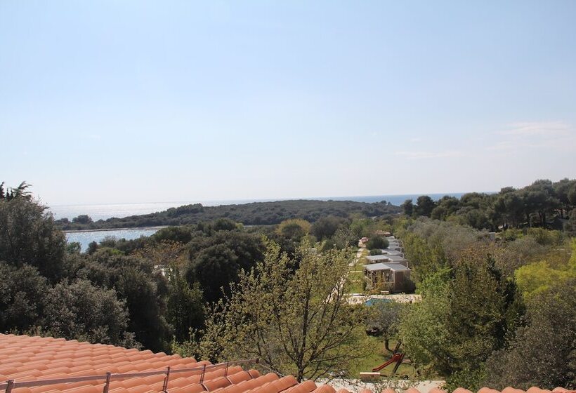 Апартаменты 1 Спальня Вид на Море, Villa Elizabeta