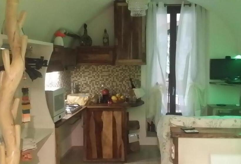 Студия Стандарт, B&b Il Libro Verde