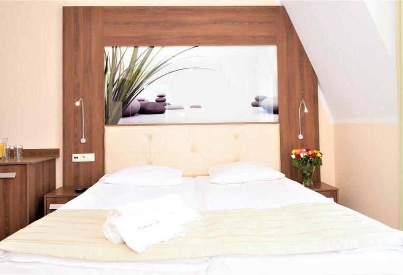 استودیوی لوکس, Puchacz  Spa