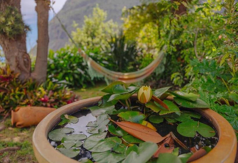 스탠다드 방갈로 정원 전망, Madeira Surf Lodge