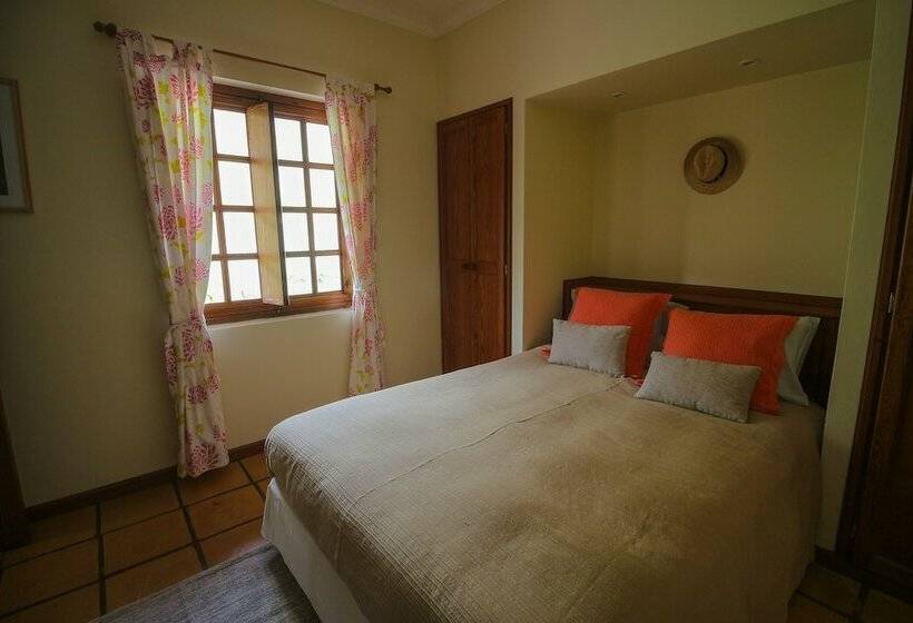 스탠다드 룸, Madeira Surf Lodge
