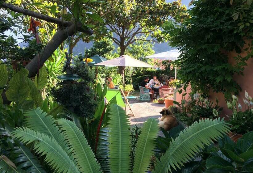 스탠다드 룸, Madeira Surf Lodge