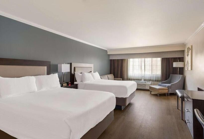 Номер Стандарт, Best Western Mountain View Inn
