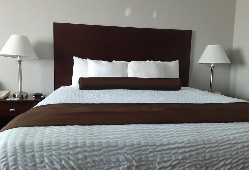 스탠다드 룸, Quality Inn
