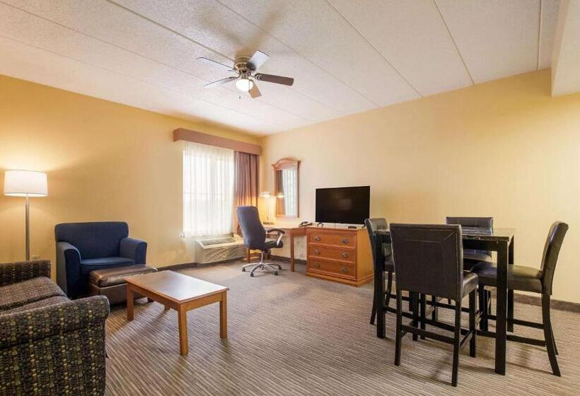 اتاق استاندارد, Quality Inn & Suites Cvg Airport