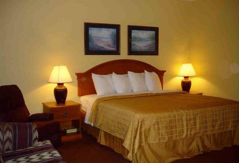 اتاق استاندارد با تخت بزرگ, Quality Inn & Suites Cvg Airport