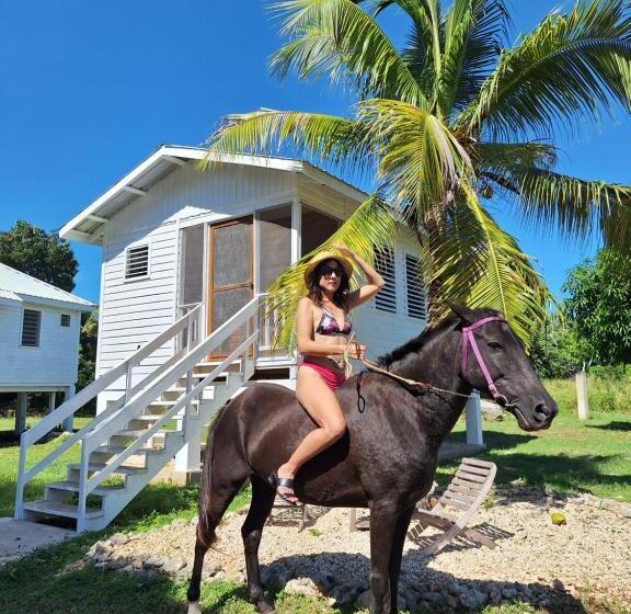 ویلای استاندارد با چشم‌انداز باغ, Horse Cottage