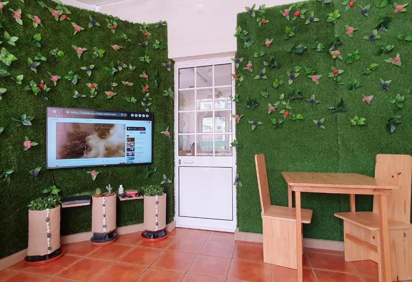 اتاق استاندارد, Bruma Hostel