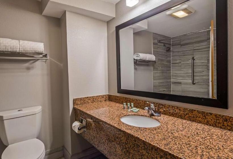 Стандартный Номер Кровать Кинг, Best Western Inn Florence