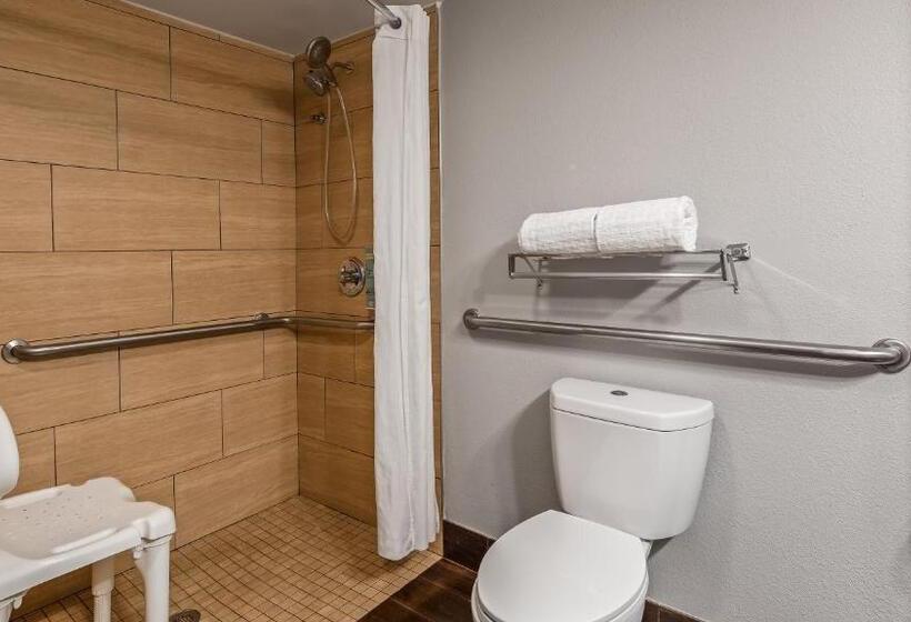 Номер Стандарт Кровать Кинг Адаптированный для Инвалидов, Best Western Inn Florence