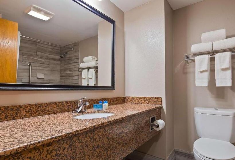 Номер Стандарт Кровать Кинг Адаптированный для Инвалидов, Best Western Inn Florence
