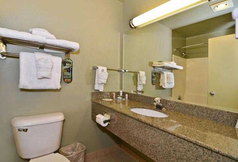 Номер Стандарт, Best Western Plus Kennewick Inn