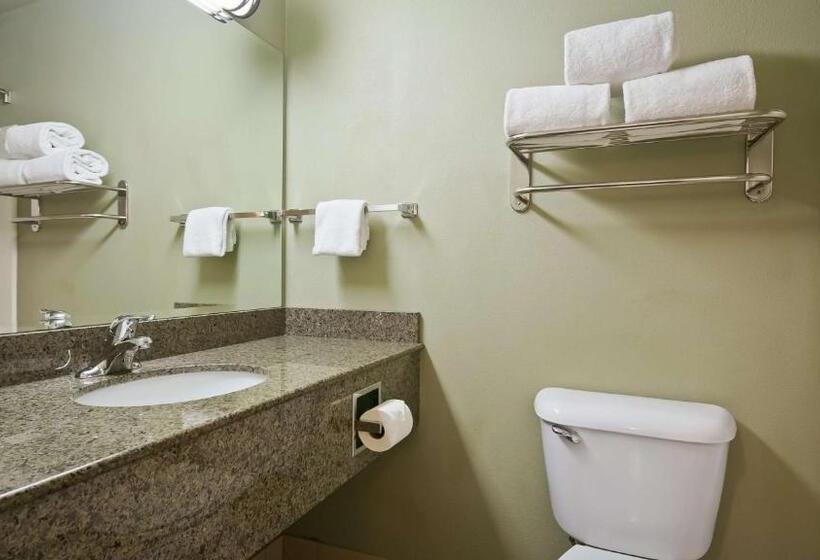 Стандартный Номер Кровать Кинг, Best Western Plus Kennewick Inn