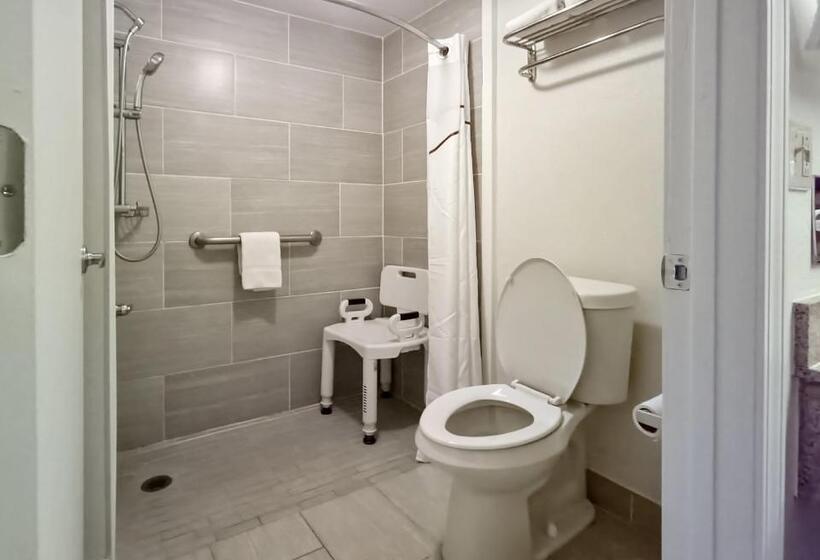 اتاق دلوکس مخصوص معلولین, Red Roof Inn Tallahassee East