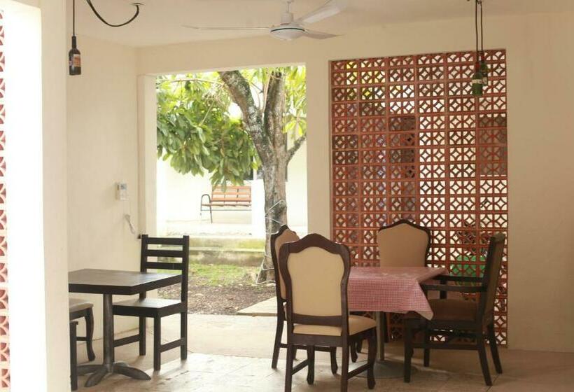 اتاق اکونومی, Bea Rooms And Studios
