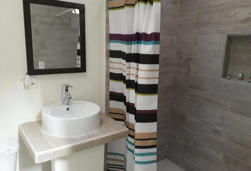 اتاق اکونومی, Bea Rooms And Studios
