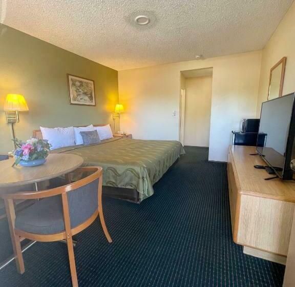 스탠다드 룸 킹사이즈 침대, Regency Inn Lakeport