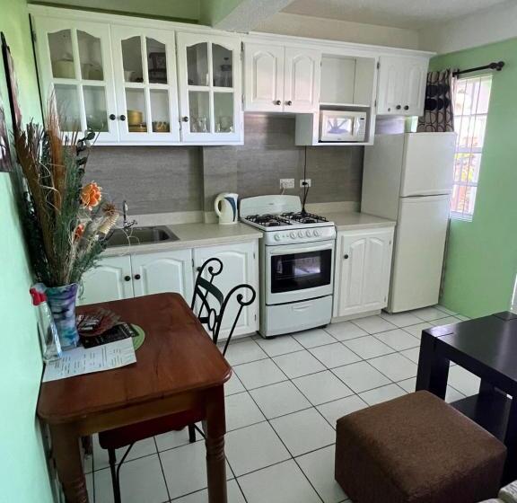 آپارتمان لوکس 1 خوابه, Silver View Apartments