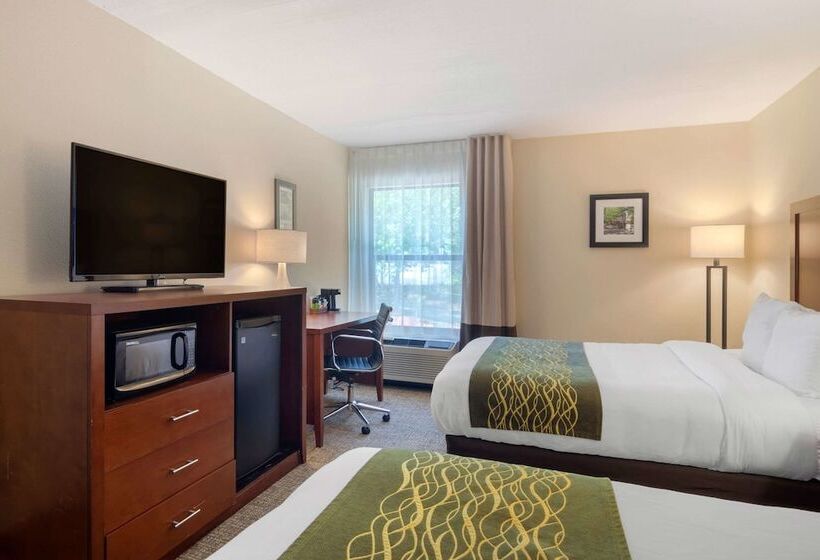 Номер Стандарт 2 Двуспальные Кровати, Comfort Inn Douglasville  Atlanta West