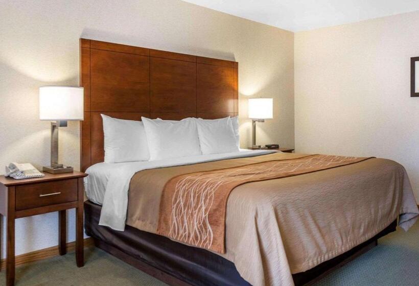 스탠다드 룸 킹사이즈 침대, Comfort Inn Salida