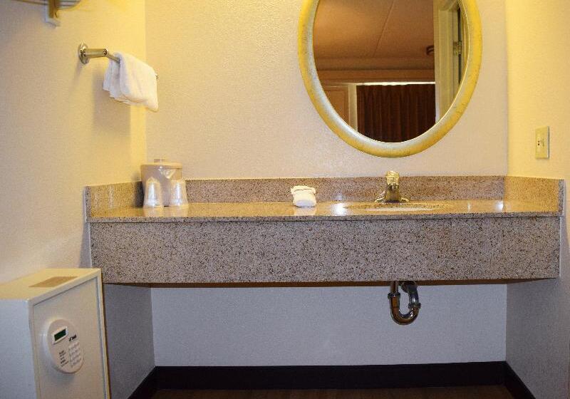 스탠다드 룸 킹사이즈 침대, Holiday Inn Express & Suites St Marys, An Ihg