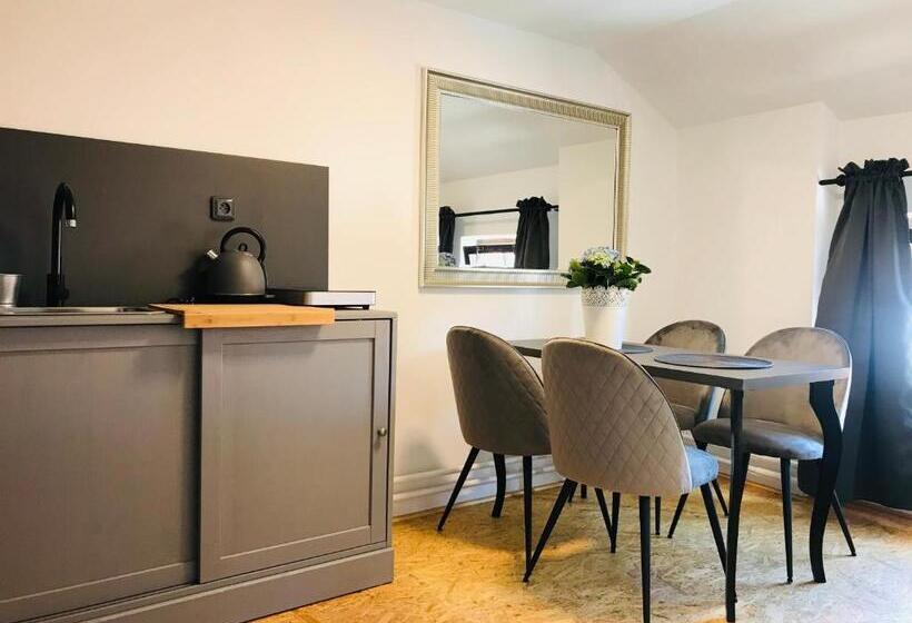 침실 2개 아파트, Boutique Apartments U Rolanda, Mikulášské Náměstí