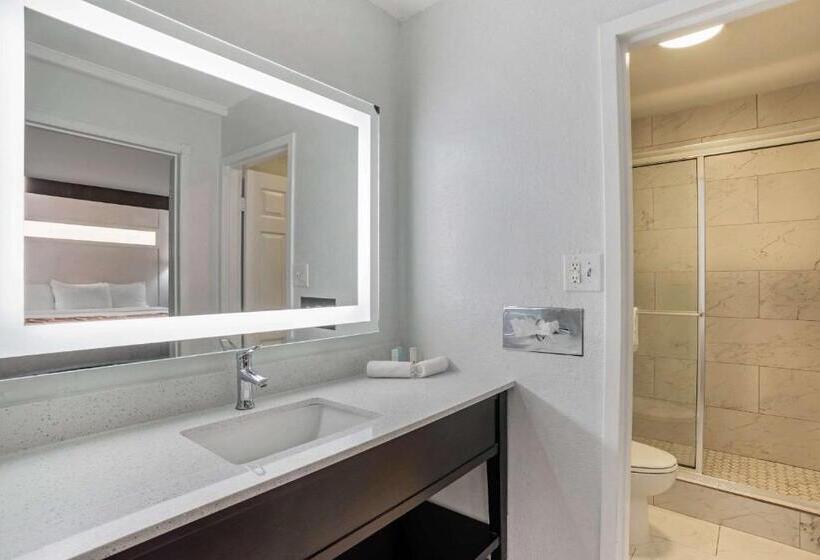 스위트 킹사이즈 침대, Baymont By Wyndham Montgomery Al