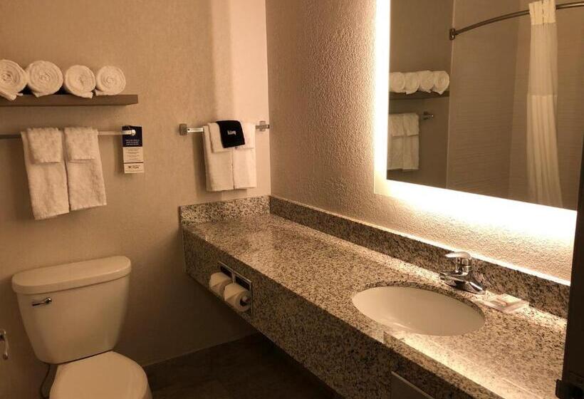 带大床的标准间, Best Western Eau Claire South