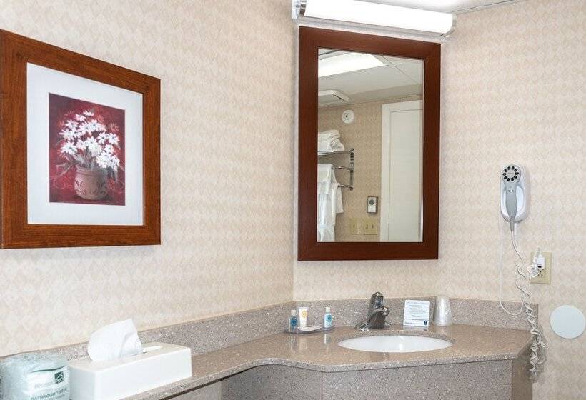 プールビュースタンダードルーム, Comfort Inn Ocean City Boardwalk