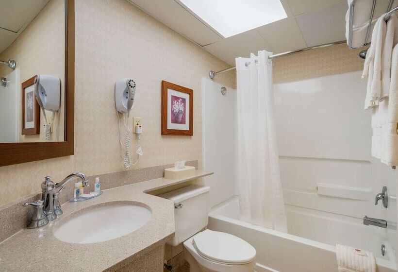 プールビュースタンダードルーム, Comfort Inn Ocean City Boardwalk