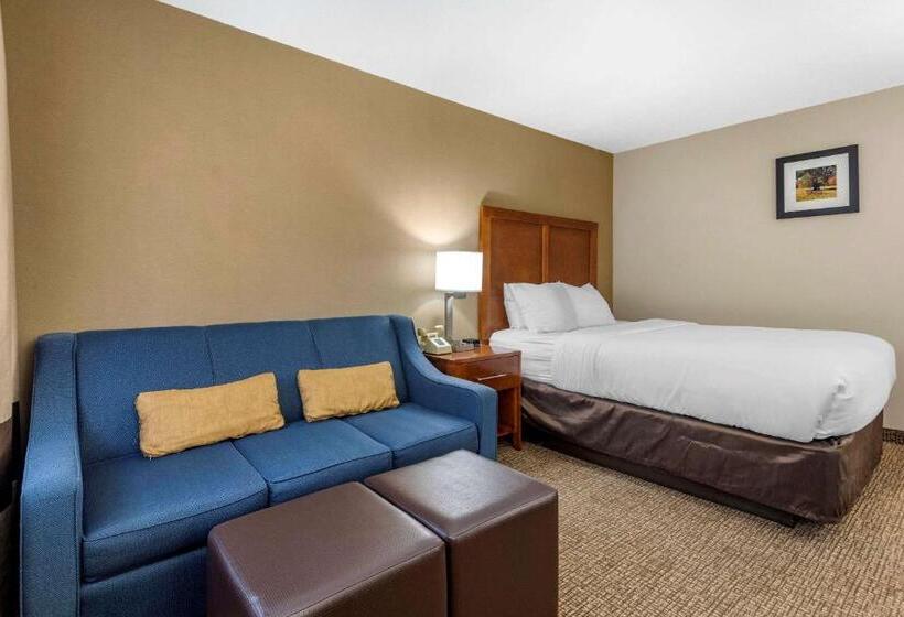 Номер Стандарт, Comfort Inn & Suites Montpelierberlin