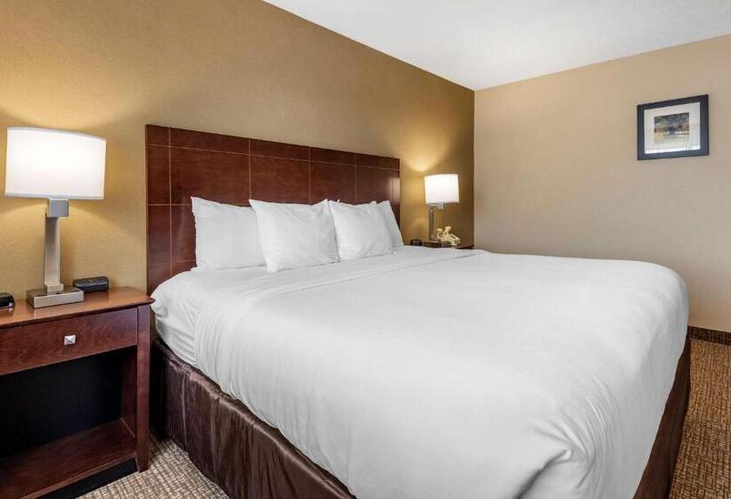 Люкс Кровать Кинг, Comfort Inn & Suites Montpelierberlin