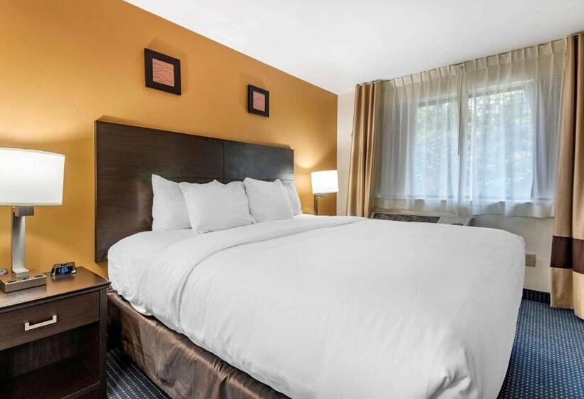 Люкс Кровать Кинг, Comfort Inn & Suites Montpelierberlin