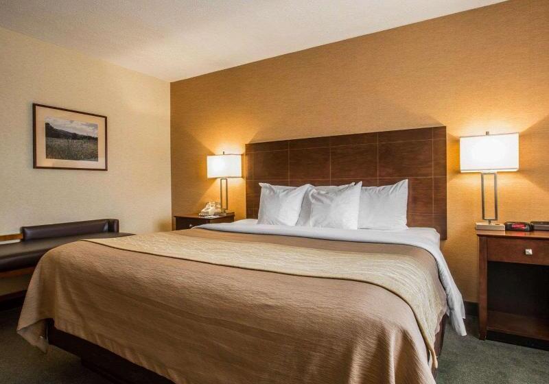 Люкс Кровать Кинг, Comfort Inn & Suites Montpelierberlin
