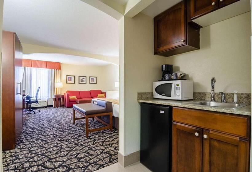 Suite Llit King, Comfort Suites Innsbrook  Short Pump